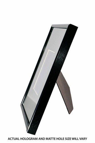 F-12 Fighter Jet 2-Kanal 3D Sammlerstück Hologramm Bild PHOTOPOLYMER - gerahmt - Bild 10 von 12