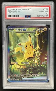 Korean Pikachu | eBay
