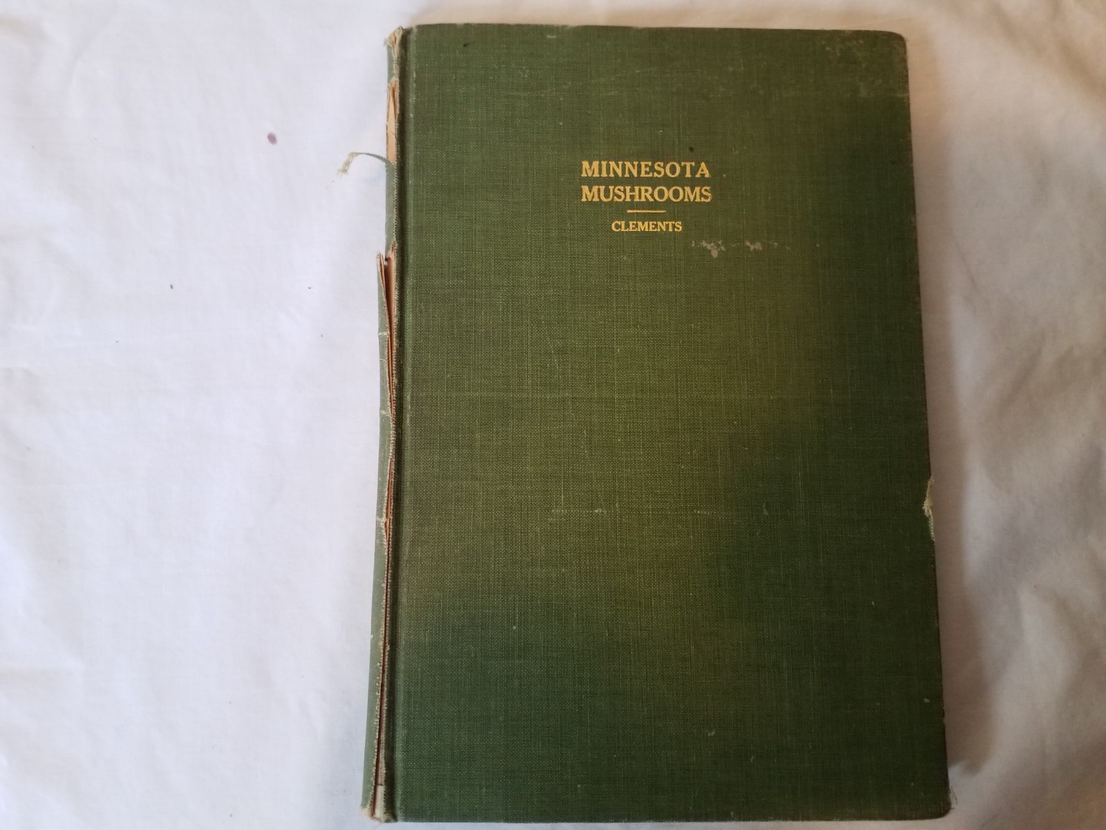 Minnesota Mushrooms - Clements - Antique 1910