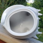 Bild 8 von 11