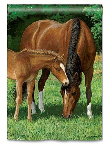 Horses Grazing Banner 2 Sided Vertical House Flag Pet Animal Pole Sleeve