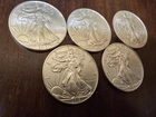 SILVER EAGLE 🦅  (LOT OF 5) 1 Oz 2013 PICKED FRESH FROM TUBE (BU/GEM)