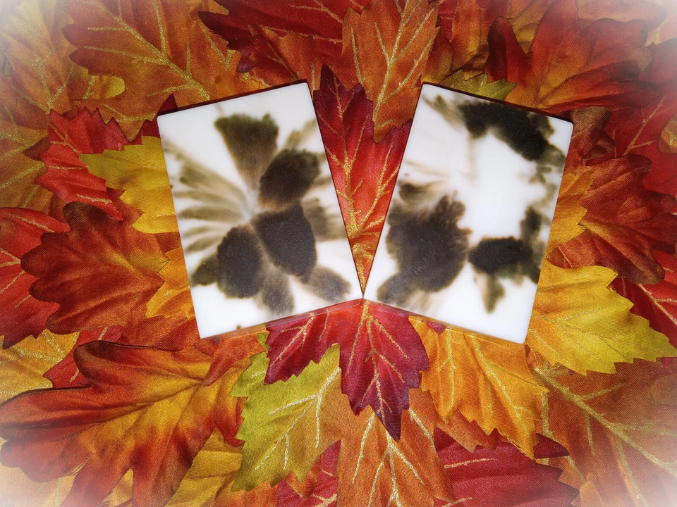 Goats Milk Bar Soap, choice of soap type, 3.5 oz, FREE shipping, 190+ scents - Image 3 of 4