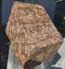 FLOWER JASPER ORBICULAR RARE STRIKING LARGE BLOCK 3.85  Lbs - 1.590 KiLOS MEXICO