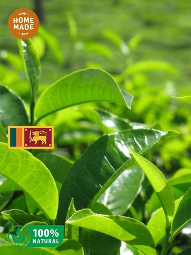 Black Tea Ceylon Loose 100%Pure Leaf Premium tea Tea BOPF Natural Organic Blend - Picture 4 of 5