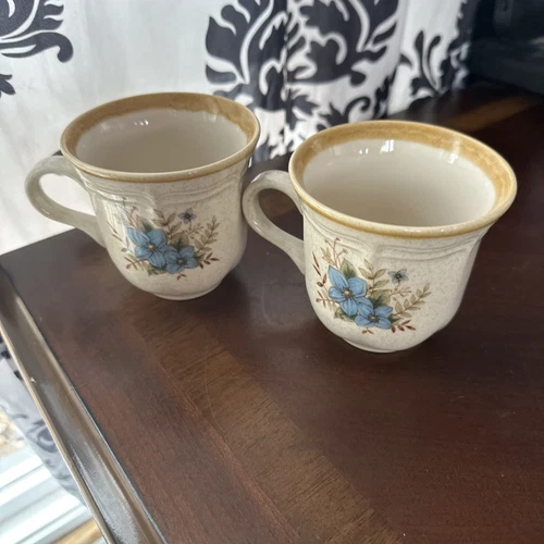 Mikasa Garden Club Day Dreams Bouquet Set of Two Mugs EC 461 Japan