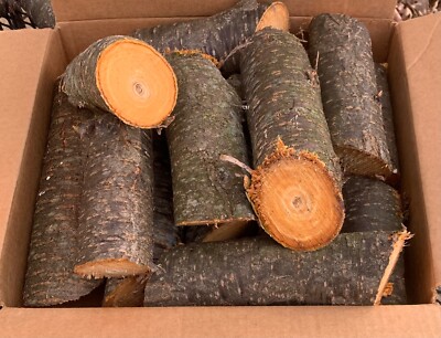 American plum wood for smoking meat. 10 lb box, large chunk, green cut 12/24