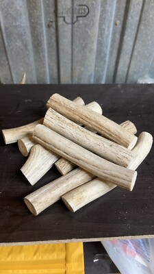 Axis Deer Antler Dog Chew SALE  #1 GRADE Size L 1 Chew Per Order BEAM