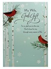 Christmas Card For Wife God’s Gift Cardinals Religious DaySpring Card NEW