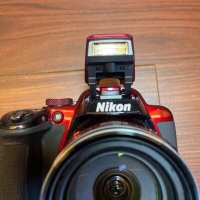 Nikon Coolpix P520 Digital Camera 3334 From Japan 18208263974| eBay