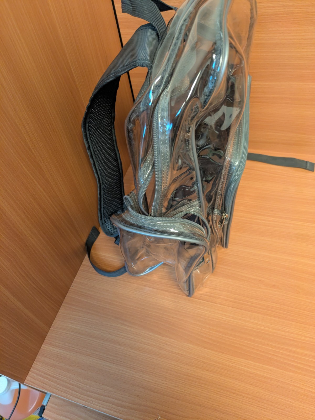 Adolescent School Transparent Backpack Unisex - image 5