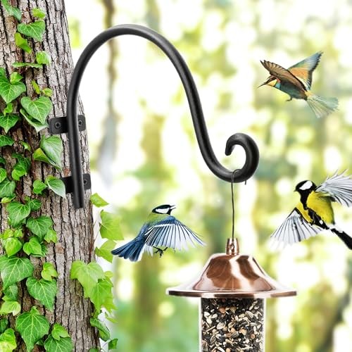 Hanging Plant Bracket: Outdoor Plant Hangers for Wall - 8 Inch Metal Bird - Picture 2 of 6