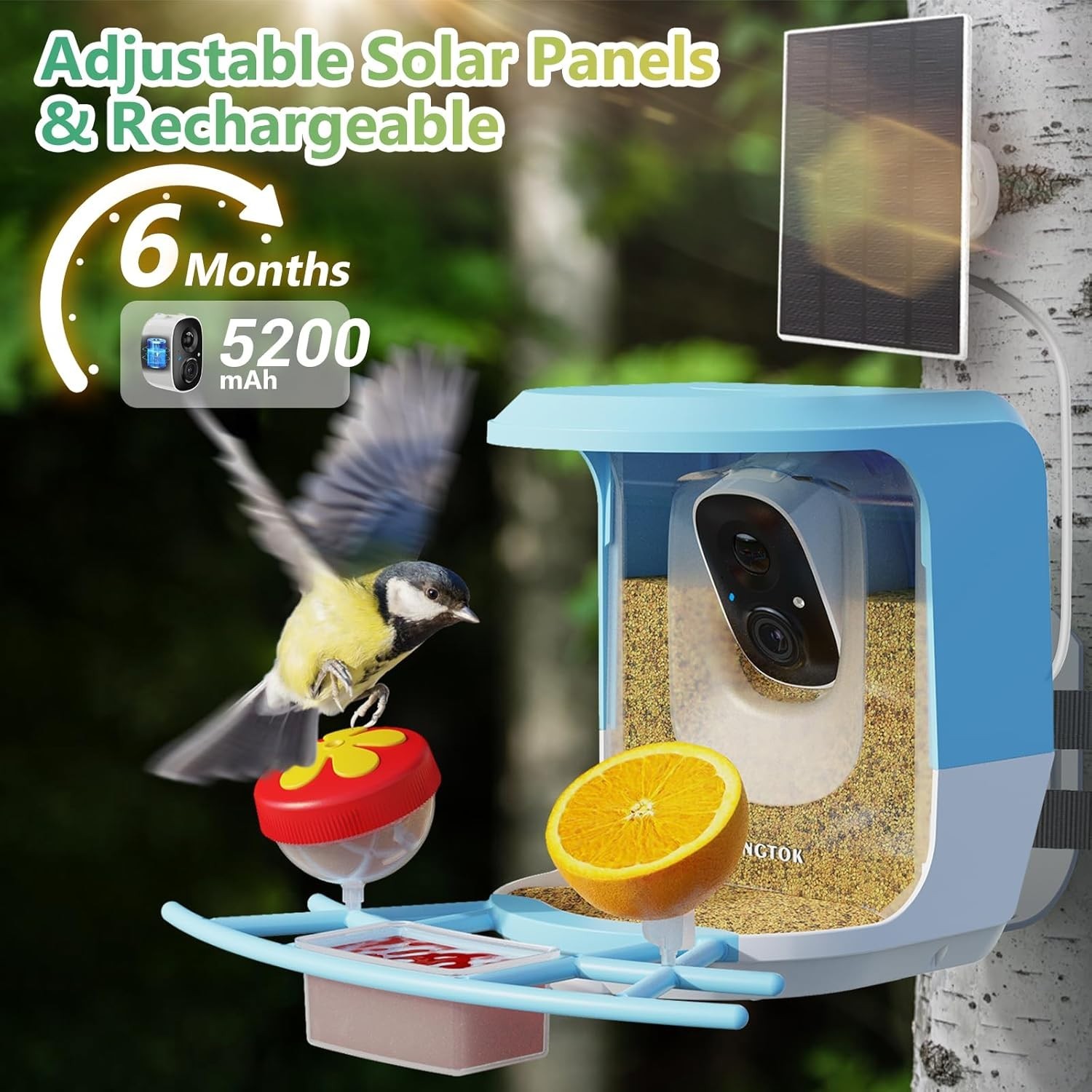 Smart Bird Feeder with Camera, Outdoor Bird Watching Camera House with Solar Pow