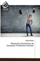 Sameh Abidi | RéSolution NuméRique De Quelques ProblèMes Inverses | Taschenbuch