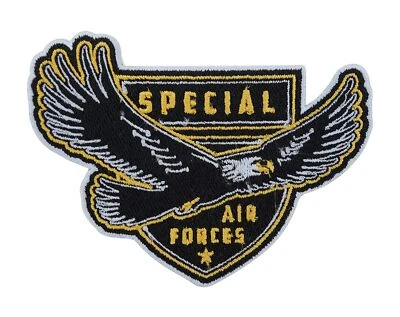 FINALLY HOME Patch Aquila Militare da Stirare | Bundeswehr Air Forces Emblema Patches