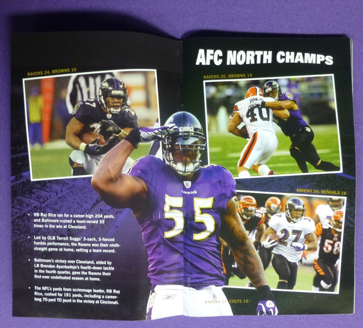 BALTIMORE RAVENS vs HOUSTON TEXANS 2012 NFL PLAYOFFS GAME