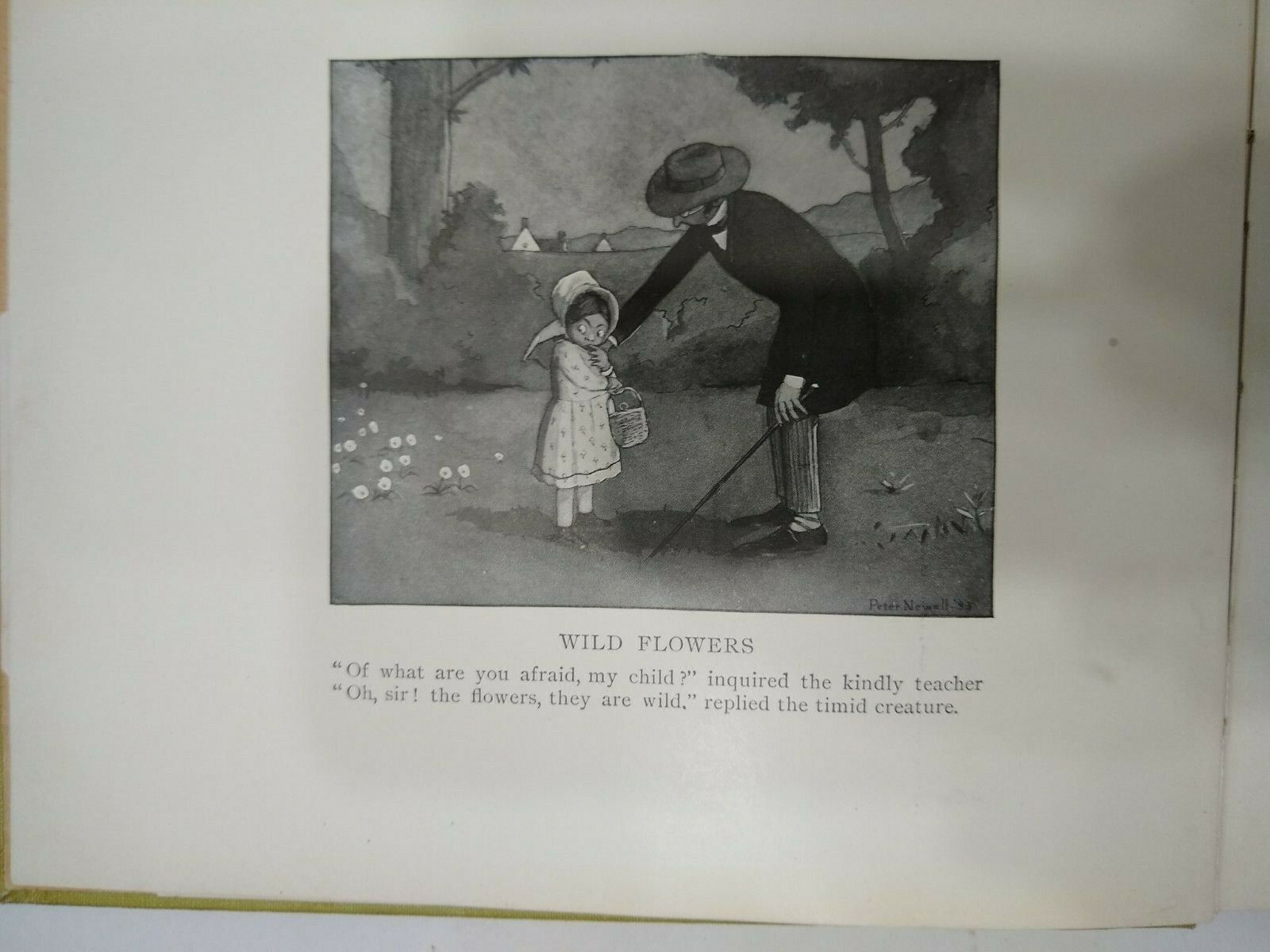 Picture 2 of 7