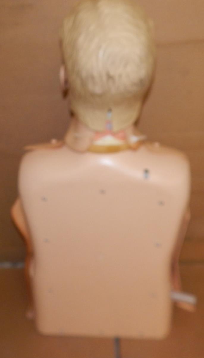 Picture 4 of 4