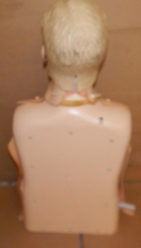 ^^LAERDAL RESUSCI ANNE CPR TRAINING TORSO DUMMY MANIKIN- HALLOWEEN DECOR (TEY76) - Picture 4 of 4