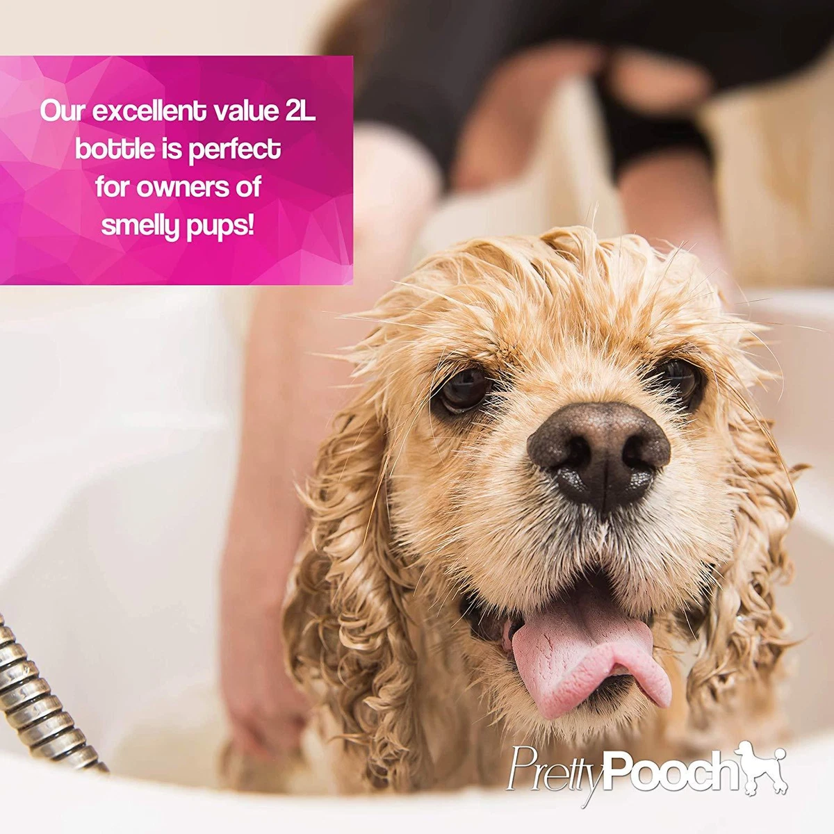Dog shampoo for stinky dogs cheap