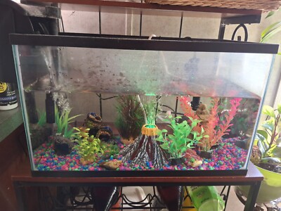 fish tank decorations and essentials