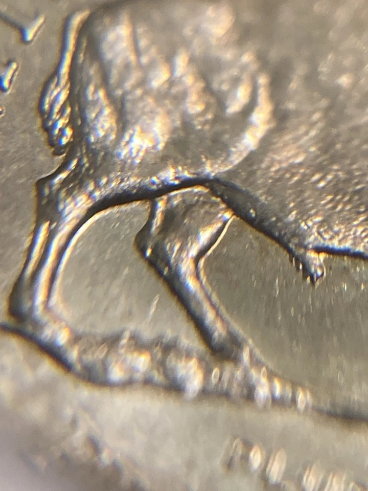 2005 D Bison Nickel Detached Leg Error + OMW BU - Image 3 of 4