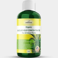 Organic Liquid Kelp Fertilizer | Seaweed Plant Food for All Indoor Houseplants