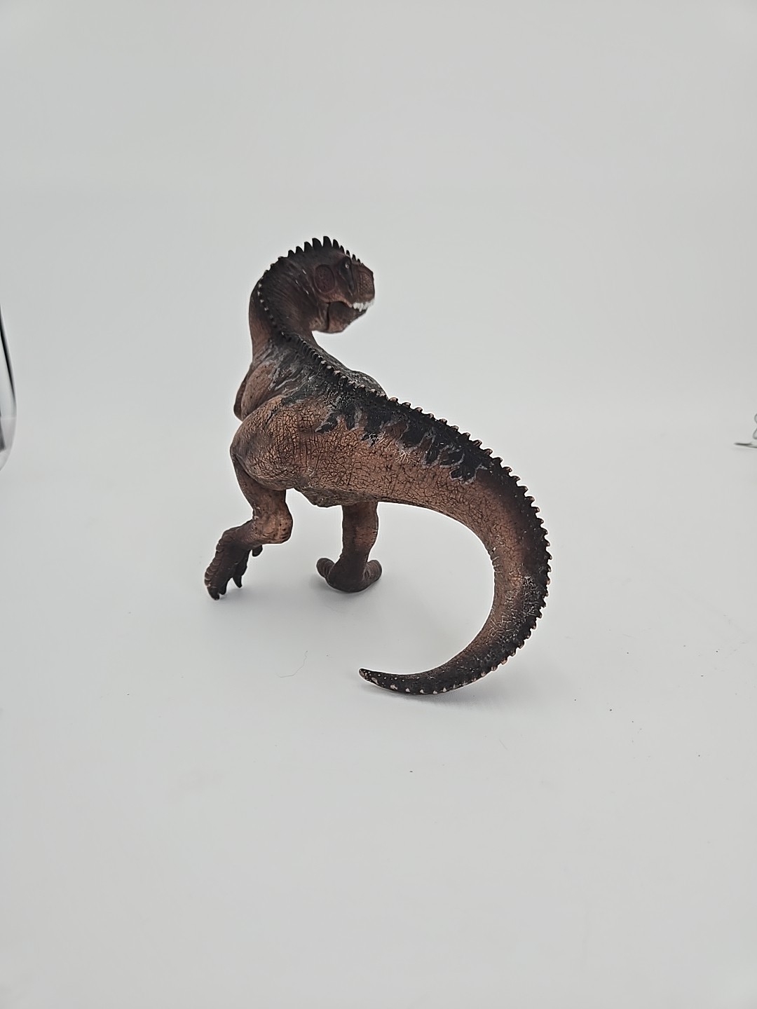 Picture 5 of 13