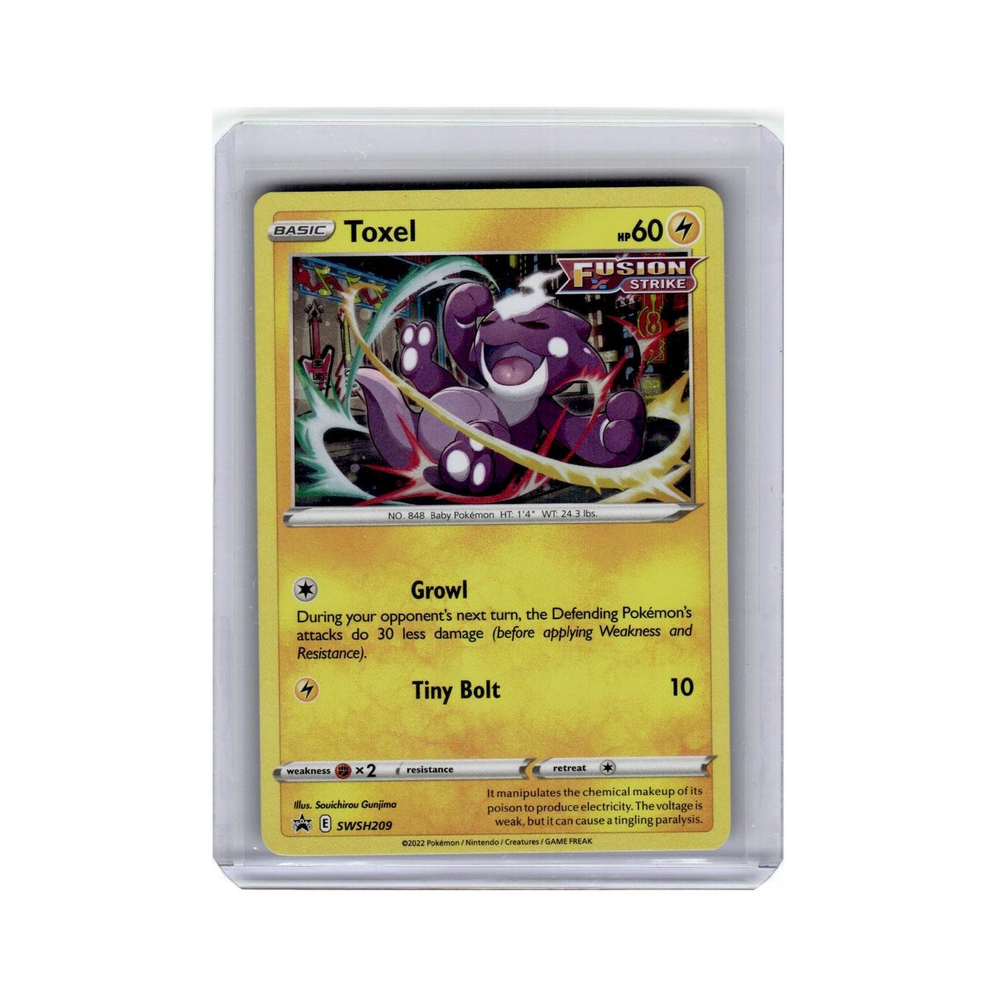 Toxel 2022 Sword Shield Black Star Promo #209 Pokemon Pokemon Card NM