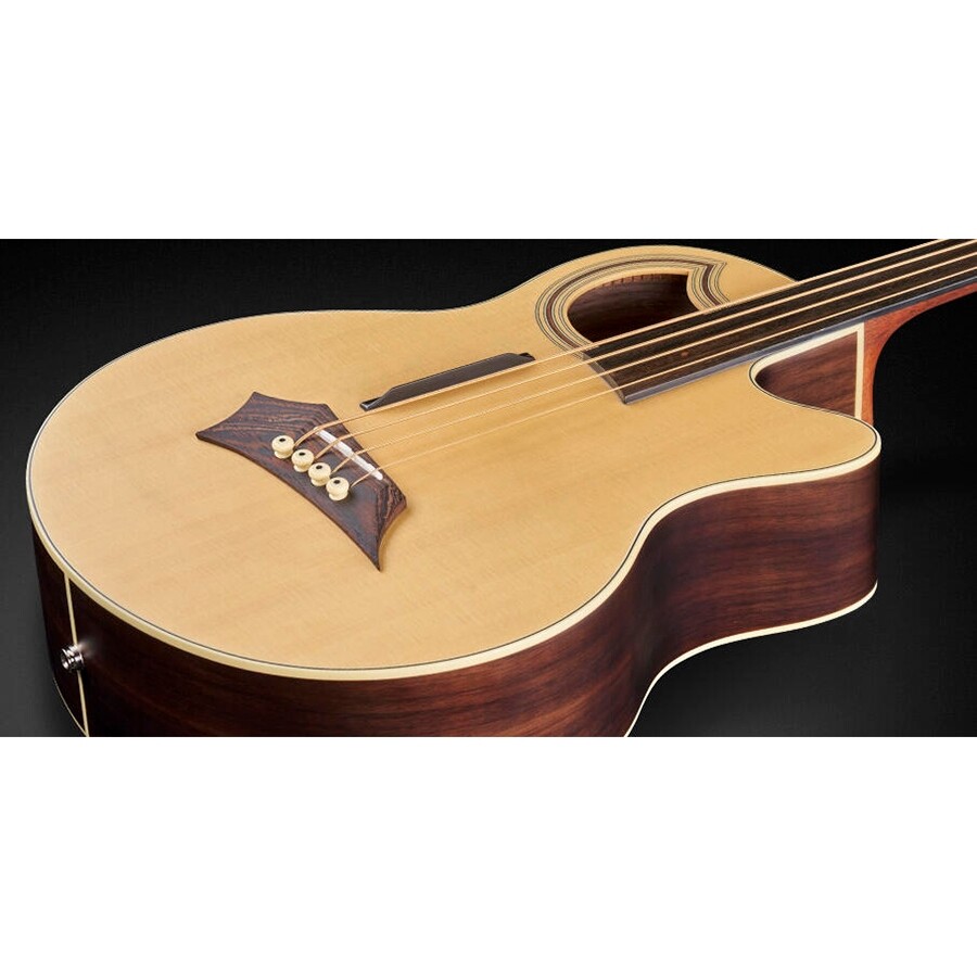 Warwick RockBass Alien Deluxe 4-String Fretless Acoustic Bass