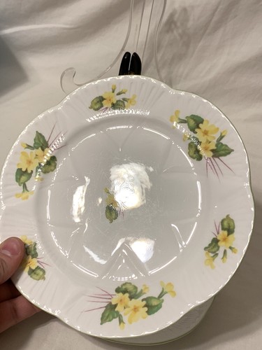 Shelley Bone China England PRIMROSE Dainty 3 pc Teacup Saucer 8” Plate Trio - Picture 11 of 12