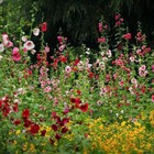 Bild 7 von 24