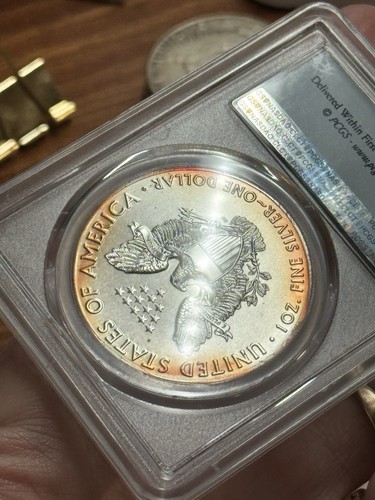 2016 American Silver Eagle PCGS MS70 Monster getönte Münze (Platte 1086) (TNO) - Bild 8 von 9