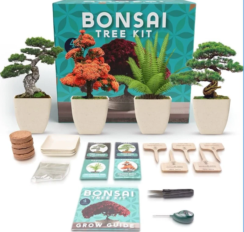 Bonsai Tree Starter Kit 4 Varieties Seeds