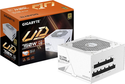 UD750GM PG5 V2 ICE - 750W 80 plus Platinum Certified - Pcie5.1 Ready - ATX3.1 -