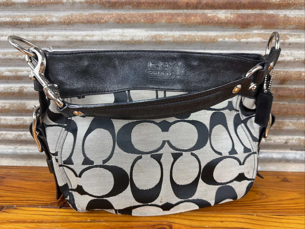 25+ Coach Zoe Canvas Bags & Handbags for Women for sale | Updated