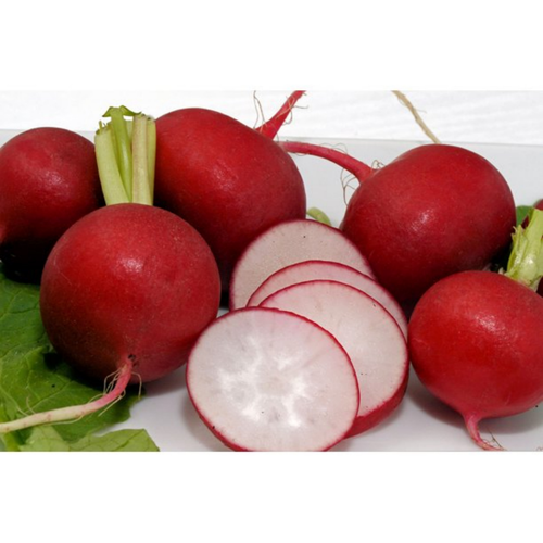 Champion Radish Seeds-- 5 gram packet - Picture 2 of 3