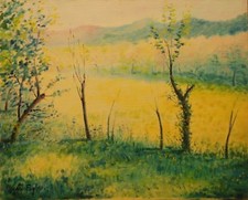 PAESAGGIO PRATO ALBERI CAMPAGNA FOGLIA CARLO DIPINTO ORIGINALE OLIO TELA 40X50
