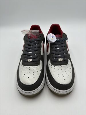 mike bibby air force 1