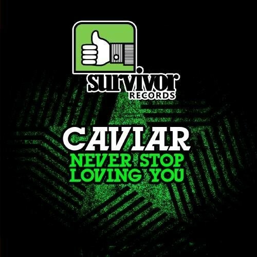 CAVIAR Never Stop Loving You レコード LTExMDkuanBlZw.jpeg