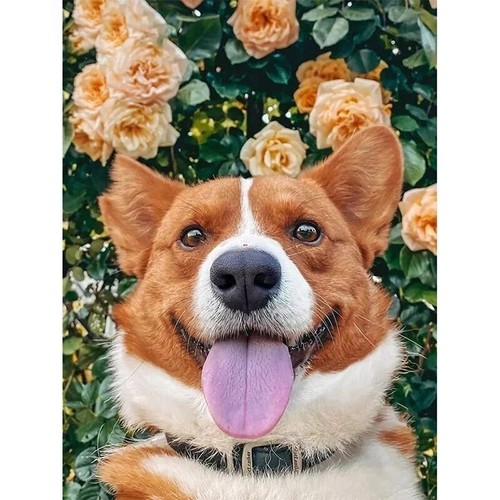 5D Diamond Painting Embroidery Full Drill Square Dog