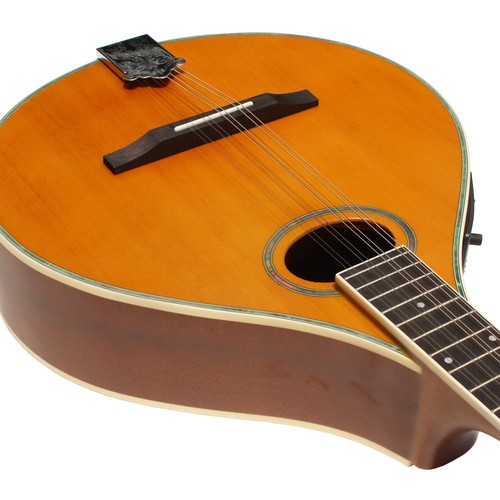 Mandola Solid Red pine top / Sapele Back & Sides With EQ - Picture 5 of 7