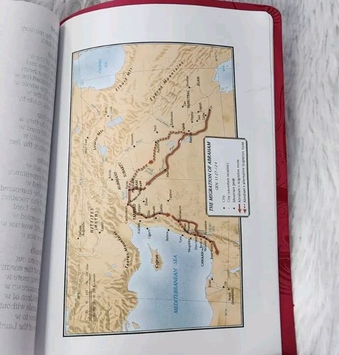 Holman KJV Holy Bible Personal Size Pink Leathertouch Silver Gilt Maps - Bild 10 von 11