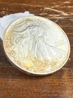 1993 BU U.S. Silver American Eagle $1 Dollar 999 ASE Toned Toning Toner