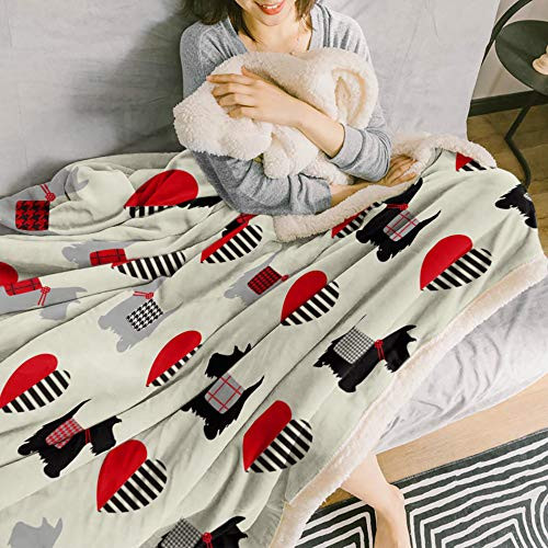 Sherpa Fleece Blanket Scottish Terrier and Love Heart Bed Blanket Soft Cozy - Picture 5 of 8