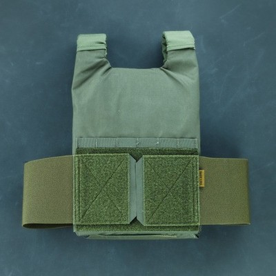 Plate Carrier T.REX  ARMS AC0 - Medium, Ranger Green