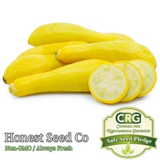 Straightneck Squash Seeds | Non-GMO | Heirloom | Fresh Garden Seeds USA