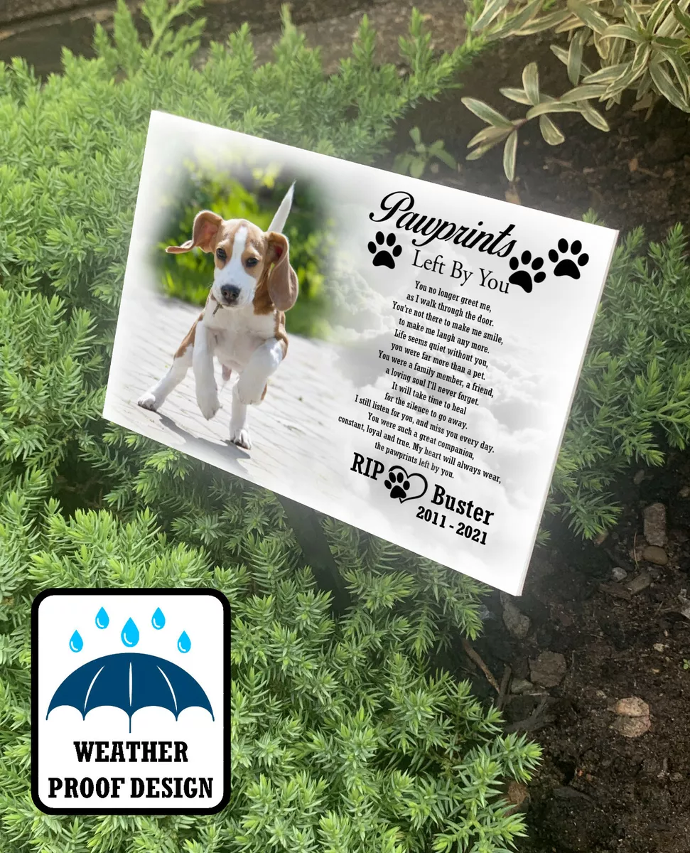Pet loss cheap memorial sites