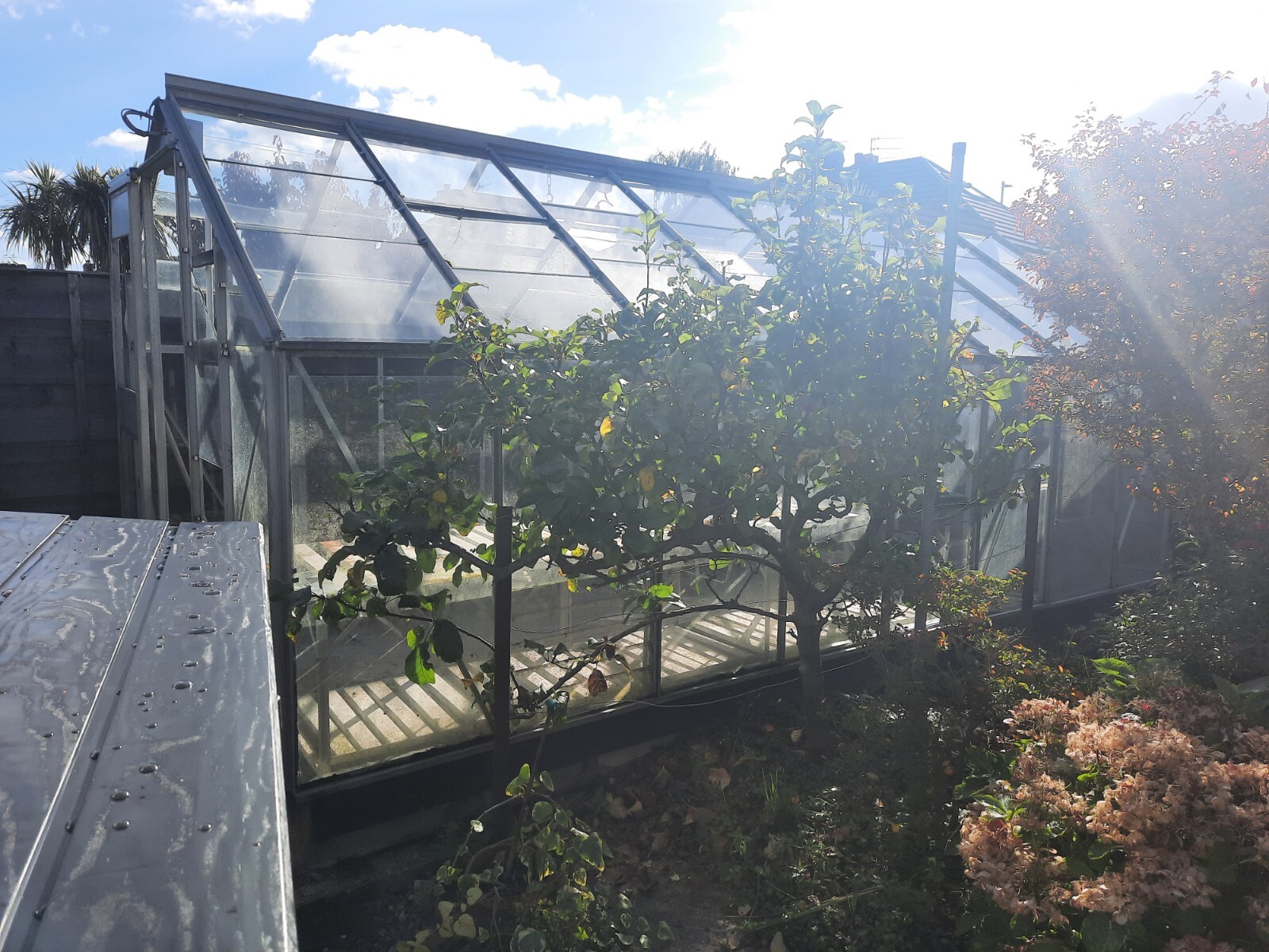 aluminium greenhouses used eBay