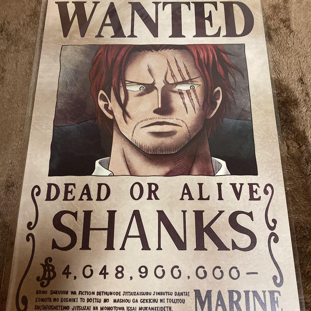 One Piece anime Wanted Poster - Dragon Bounty official merch